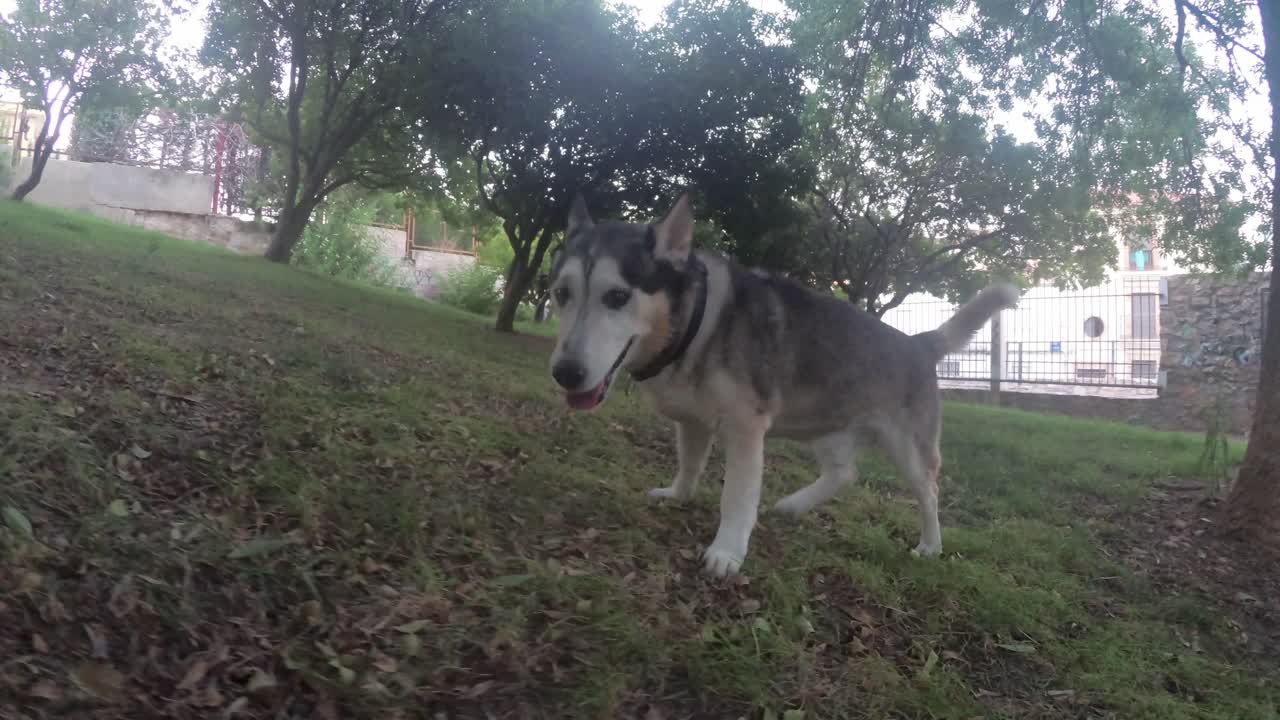 하엔 스페인 도심과 거리 4k 24fps에서 안달루시아 스페인의 이 오래된 도시에 대한 일부 전망