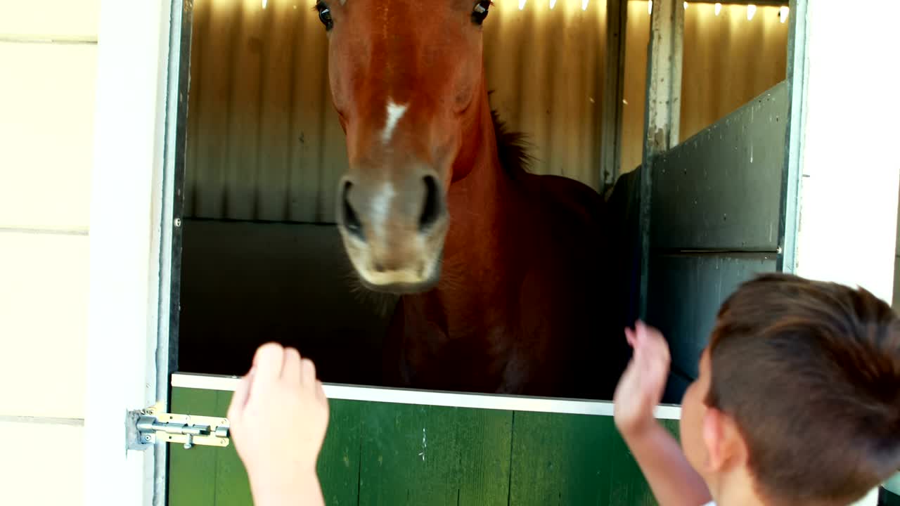 niños acariciando caballos en el establo 4k