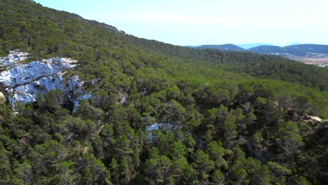 view of rocky cliffs and lush vegetation meeting the vast expanse of the mediterranean sea on the coast of ibiza. unbelievable aerial view flight panorama overview drone