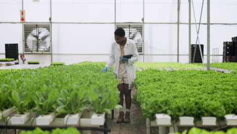 scientist, plants or clipboard for inspection