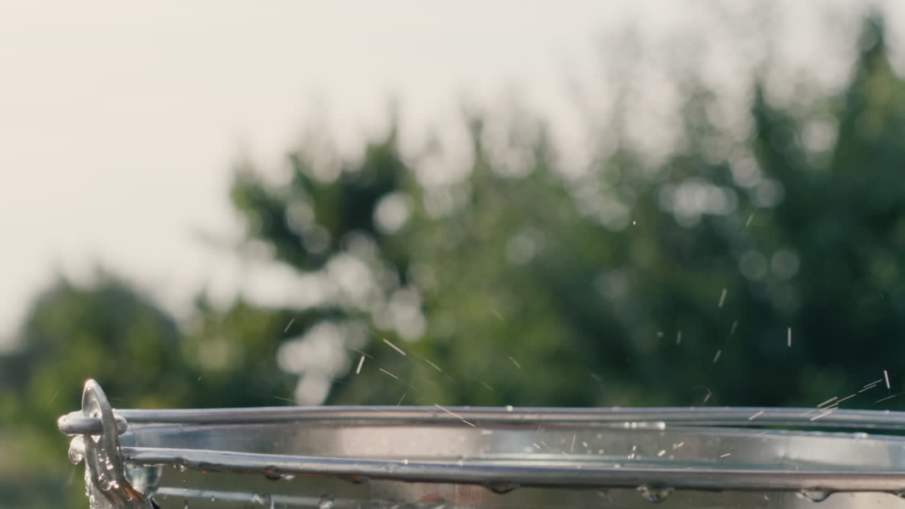 잘 익은 토마토가 양동이 물에 빠지다