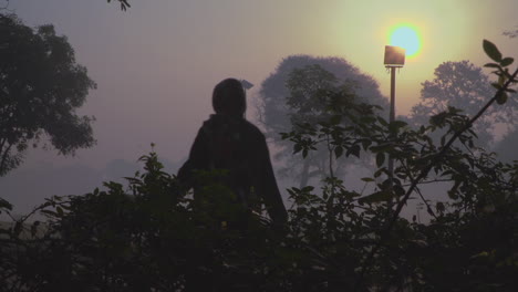 caminata matutina en invierno en tiempo de niebla, una dama y un hombre caminando y corriendo por la pista, ángulo bajo desde las plantas, vista de silueta