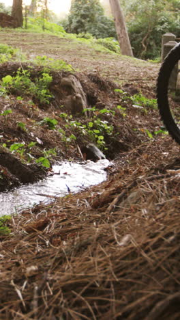 male mountain biker riding in the forest