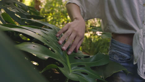 Naturfrau-Berührt-Pflanzen-Im-Wald-Mit-Der-Hand-Und-Erkundet-Die-üppige-Naturschönheit-Im-Garten-4k