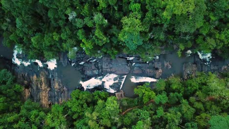 wild forest with big river and waterfalls in green woods of brazil, drone 4k shot