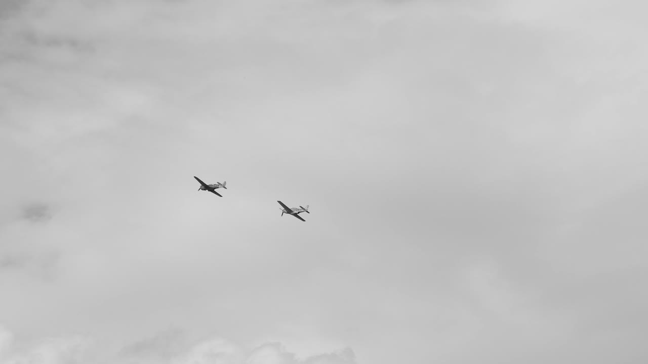 Multiple birds flying across a cloudy sky