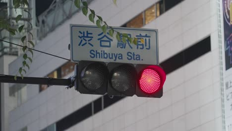 traffic light turns from green to red at the shibuya crossing on a halloween night in tokyo, japan