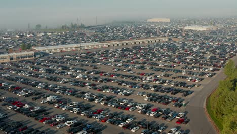 manheim auto auction is site of wholesale used vehicle sales for dealers