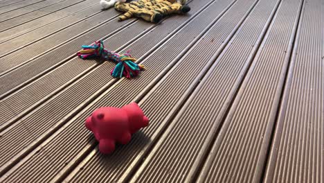 Upward-pan-of-puppy-toys-strewn-on-an-outdoor-wooden-deck