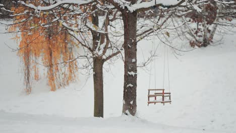 A-swing-hangs-from-the-sturdy-branch-of-a-tree