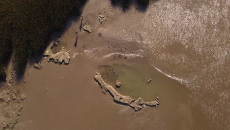 4k-Aerial-top-down-shot-of-two-people-walking-on-river-path-between-green-plants-during-summer---River-Plate-Shore,Buenos-Aires