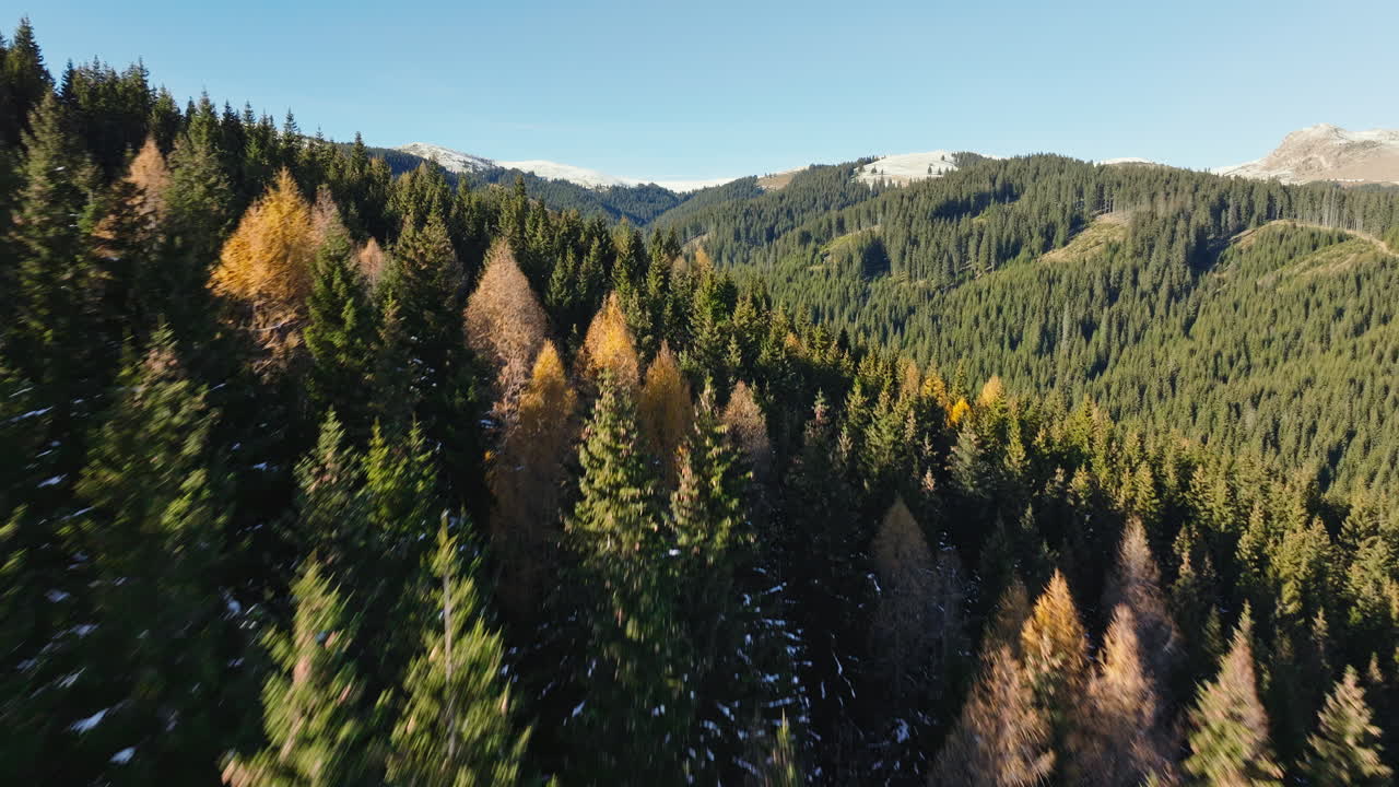 Aerial drone view of the Carpathian Mountains, near Brasov, Romania