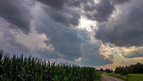 Dense-Clouds-Over-Field-Crops-Near-Countryside.-Timelapse