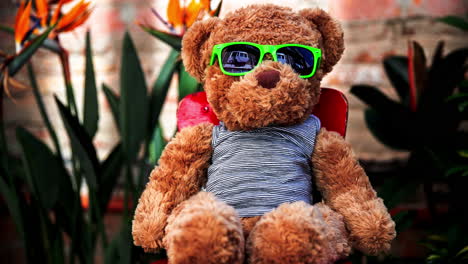 teddy bear with sunglasses in a garden