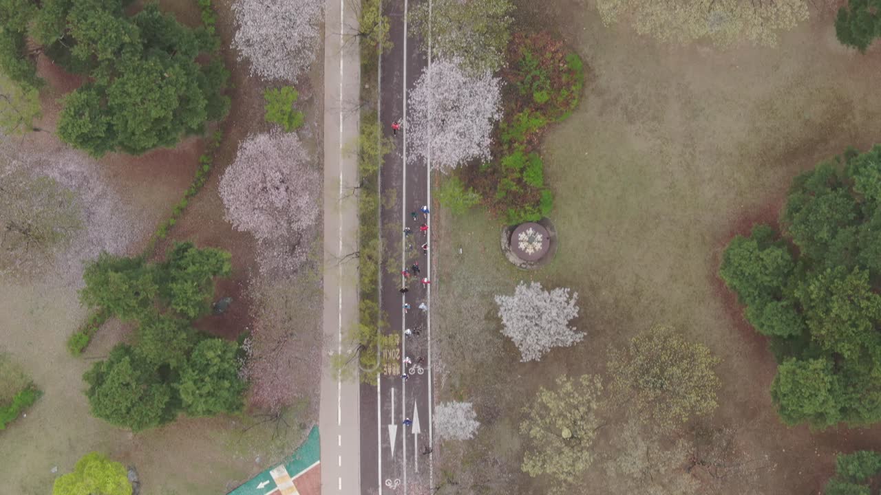 공원에서 기분 좋은 아침을 운영하는 클럽