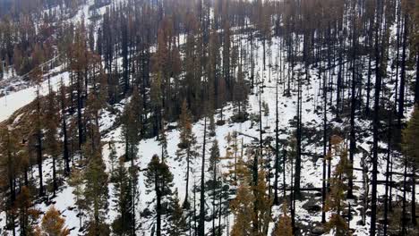 Drone-Close-Up-Aerial-Of-A-Tahoe-Ski-Resort-Destroyed-By-A-Wildfire