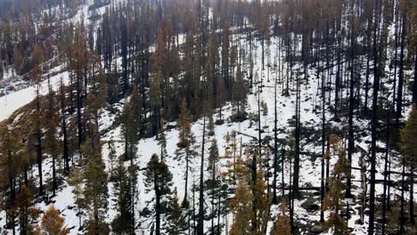 drone close up aerial of a tahoe ski resort destroyed by a wildfire