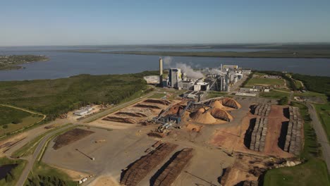 fábrica de papel con chimeneas humeantes frente al río uruguay en fray bentos