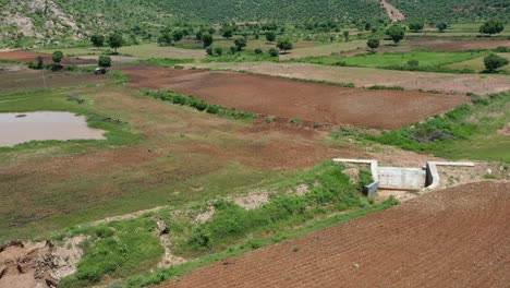 aerial view of agricultural fields in telangana with brown and green plots divided by narrow paths surrounded by scattered trees and low hills under bright daylight in countryside setting