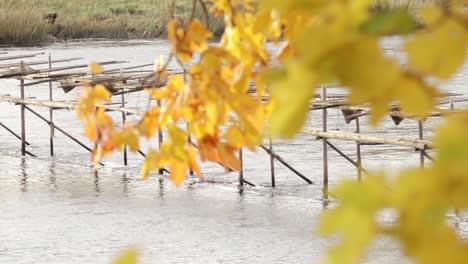 wooden bridge over the river