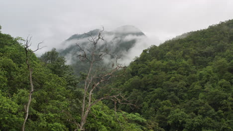 Aerial-Drone-Flight-above-lush-Rainforest-in-Sumatra,-Indonesia