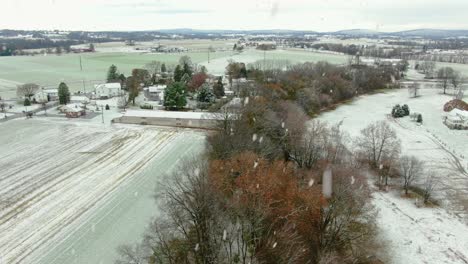 aerial of trees along creek during winter snowfall