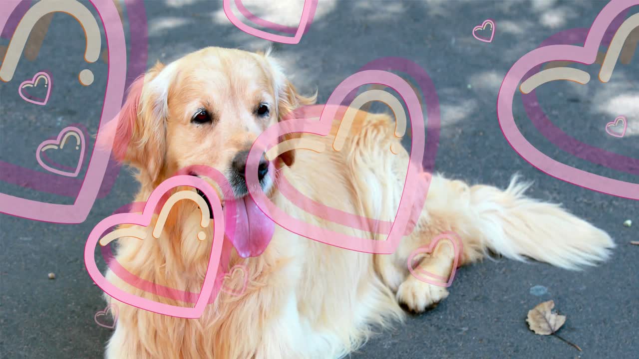 개 위에 심장 아이콘의 애니메이션