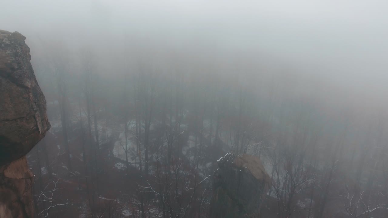 Туманный пейзаж с камнями и деревьями