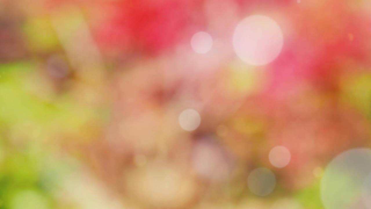 fondo de resorte abstracto con bokeh