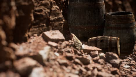 old wooden vintage wine barrels near stone wall in canyon