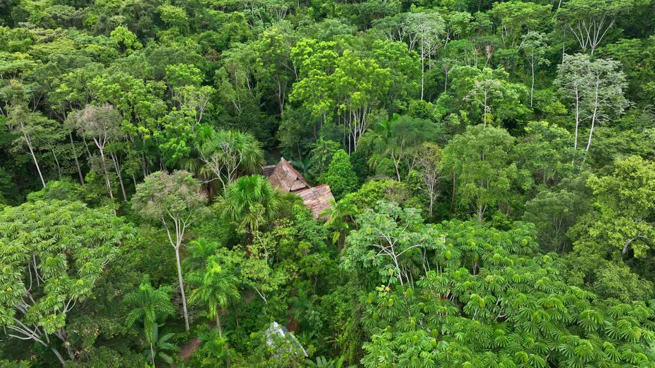 House tropical jungle in amazon, south america