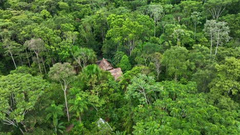 House-tropical-jungle-in-amazon,-south-america