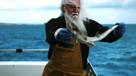 fisherman throwing fish in sea