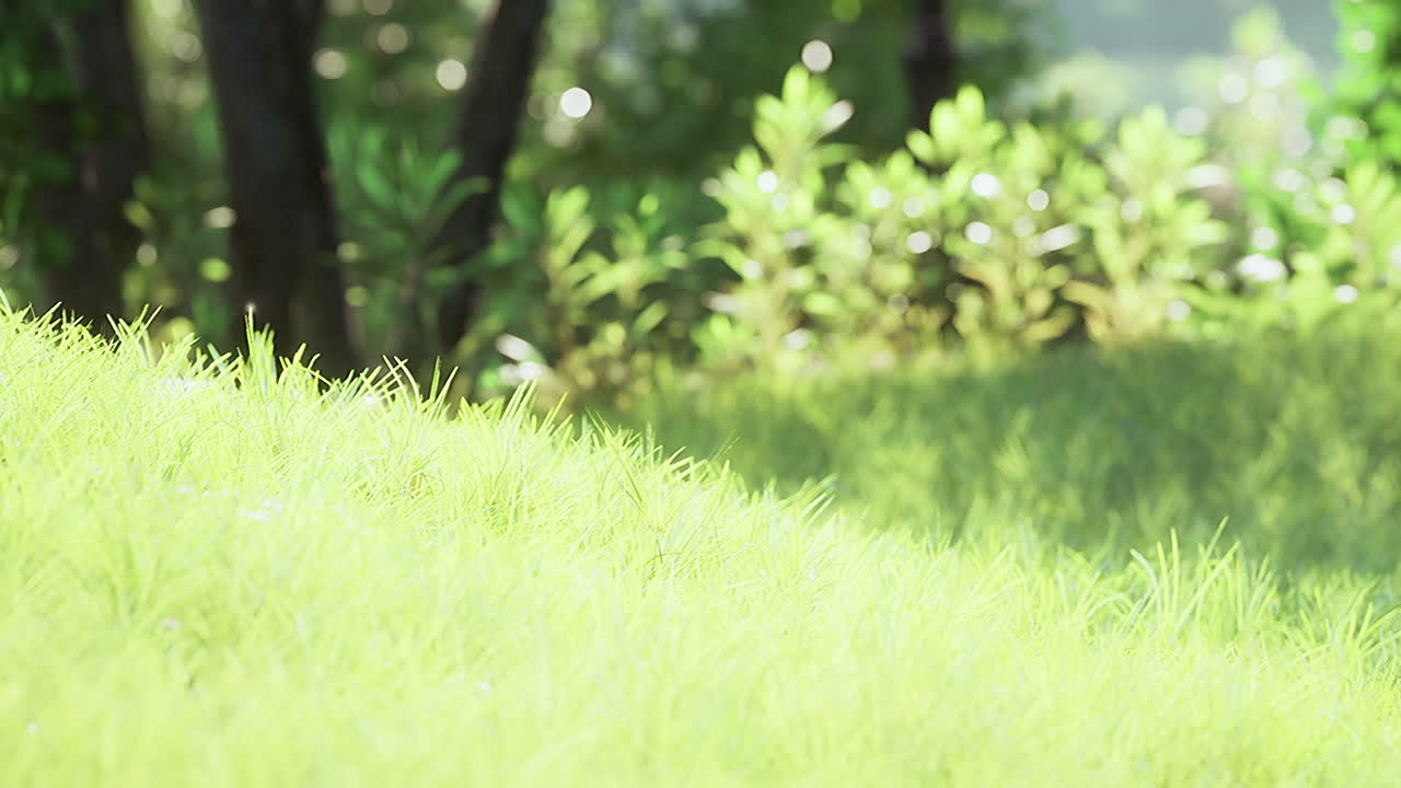 아름다운 공원에서 해가 뜨고