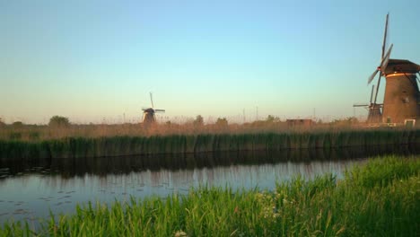 dutch windmills in argriculture netherlands rural landscape in afternoon pan to left