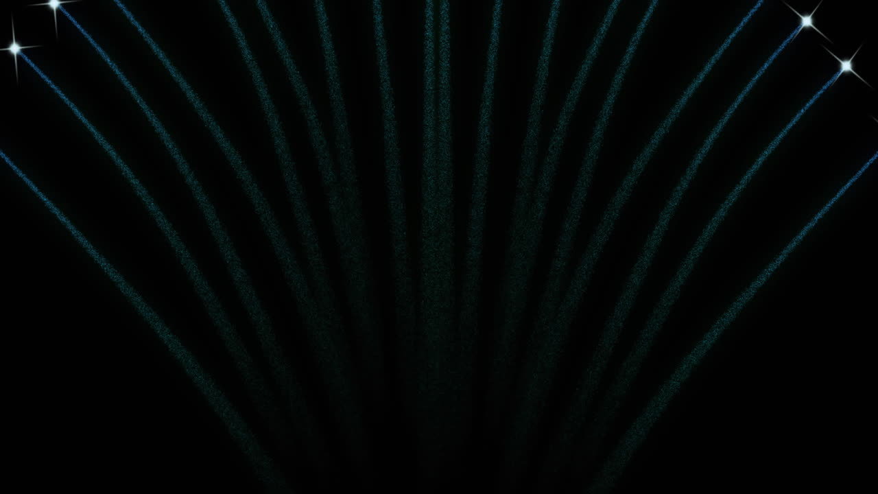 Animation of fireworks on black background