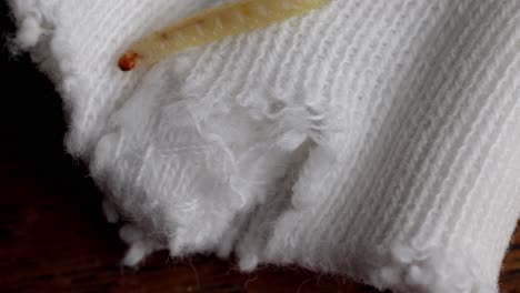 moth larva crawling on white knitted cloth