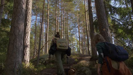 people walking up the forest trail in slow motion