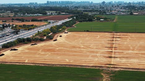 un disparo de un avión no tripulado volando hacia arriba, un enorme campo verde amarillo, con coches conduciendo por una carretera y una ciudad llena de edificios en frente, video 4k, israel