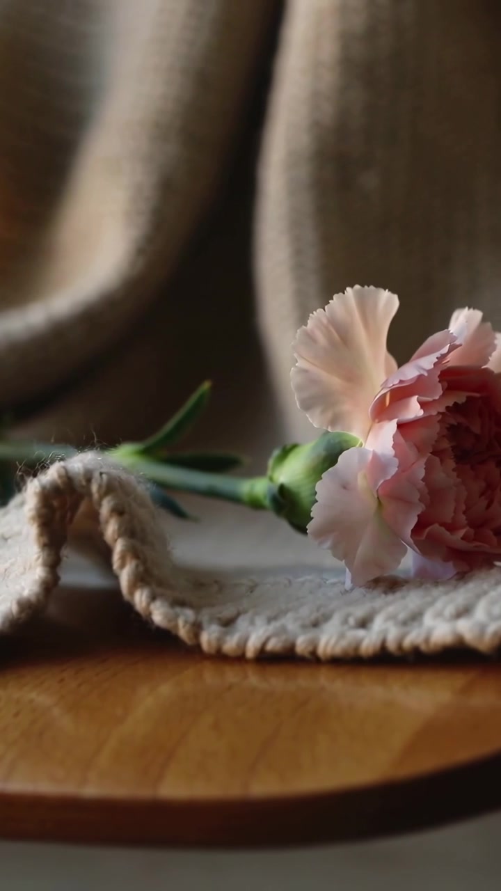 Video verticale: Telecamera che panoramica un garofano rosa nell'inquadratura su un capo a maglia su legno, messa a fuoco che si affina, spazio per il testo.