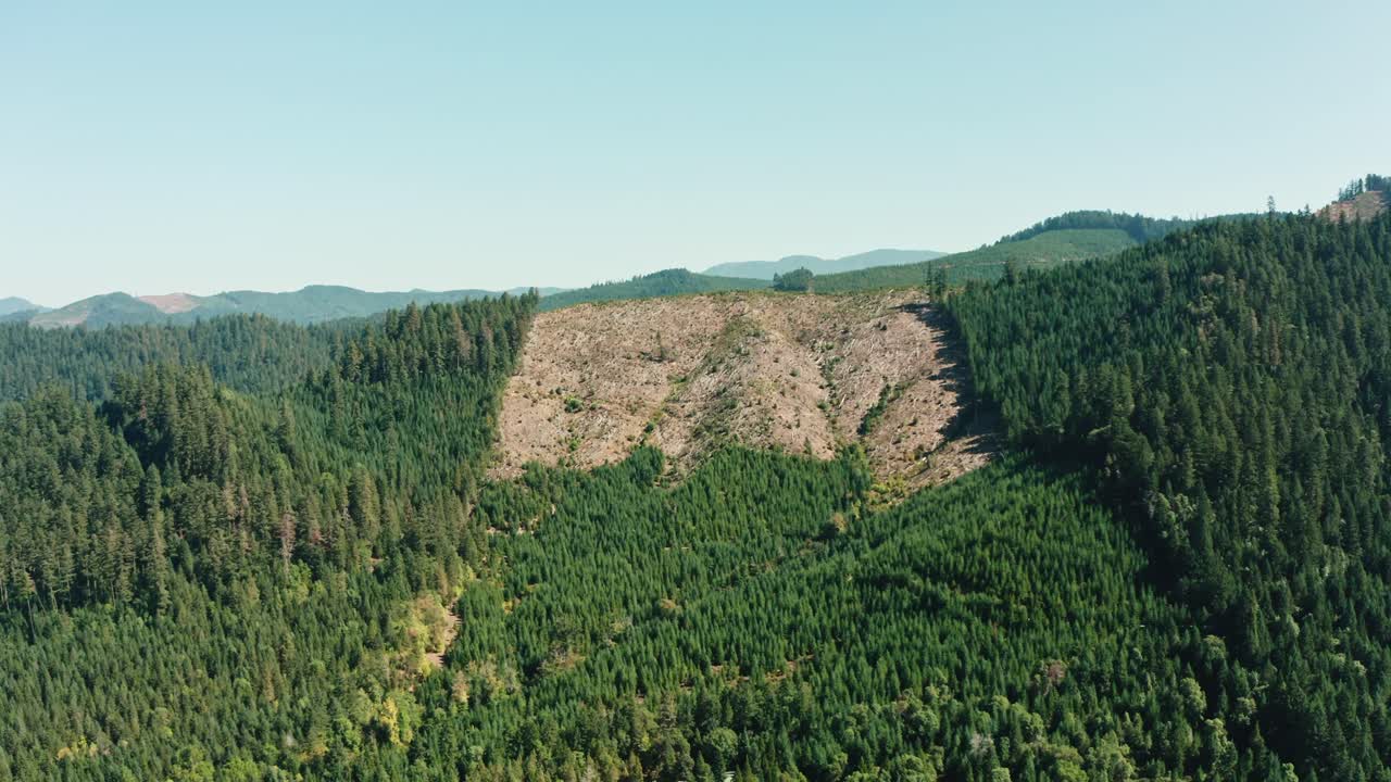 un dron gira sobre abetos y coníferas en las laderas de las montañas de oregon