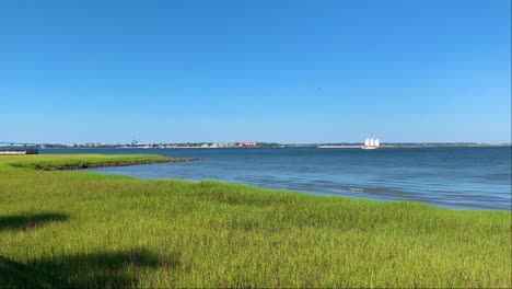 calm waters and green grass