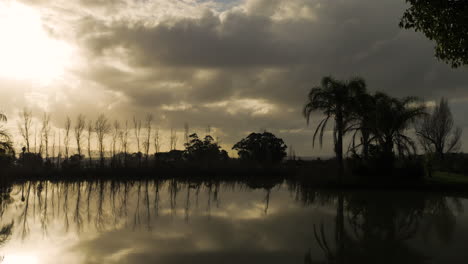 Beautiful-dramatic-golden-sunset-reflected-off-dam's-surface,-surrounded-with-palm-trees,-panning-shot