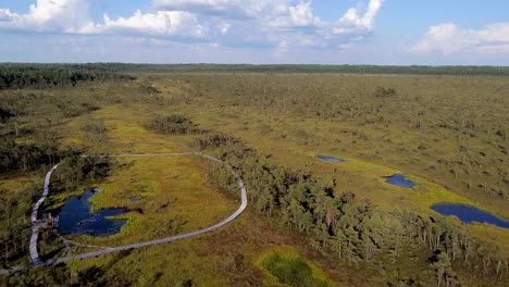 aerial drone of riisa bog in soomaa, estonia during summer