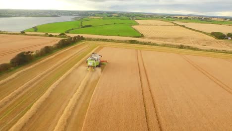 drone footage of golden fields and combine harvester