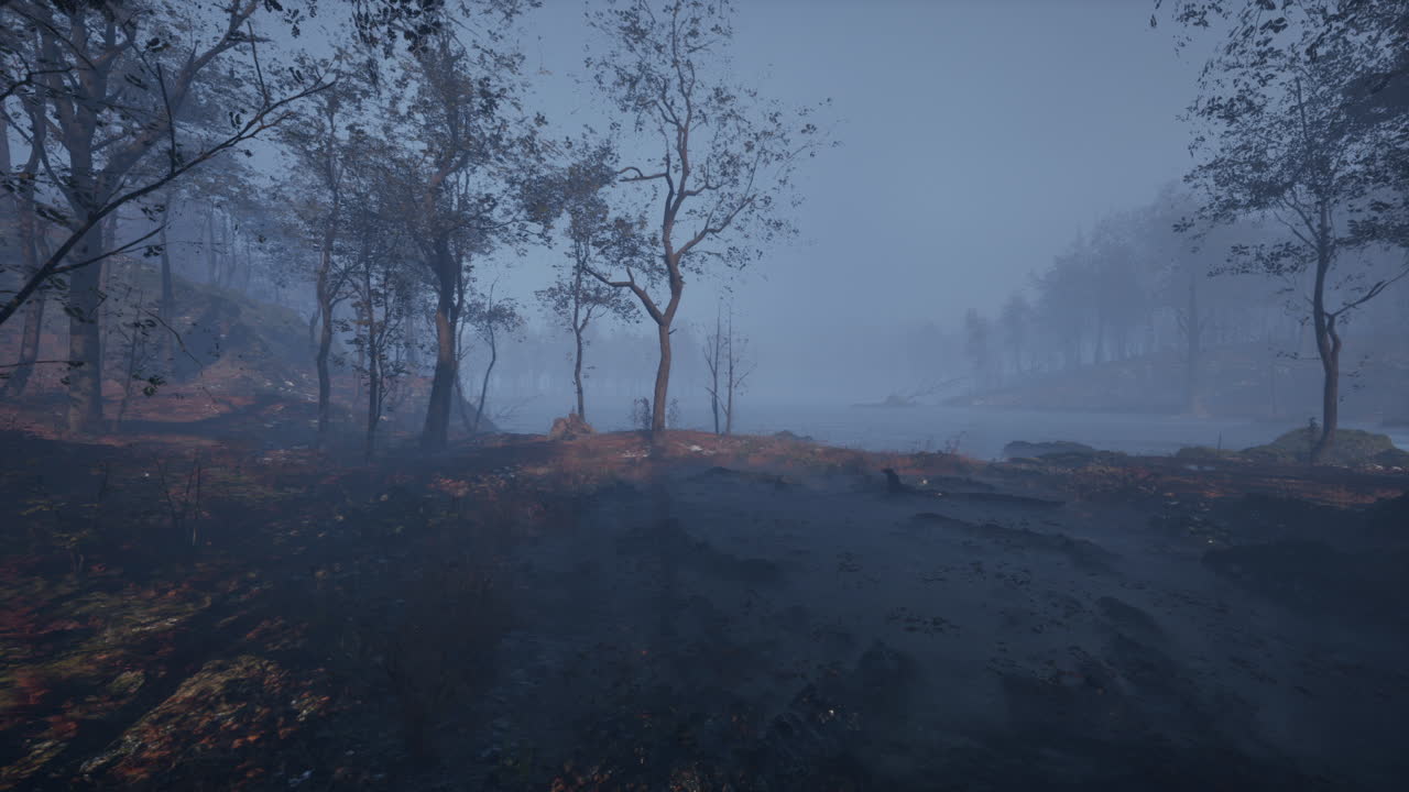 bosque de niebla junto al lago