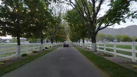 newlywed driving the car down in the road with trees and garland lights