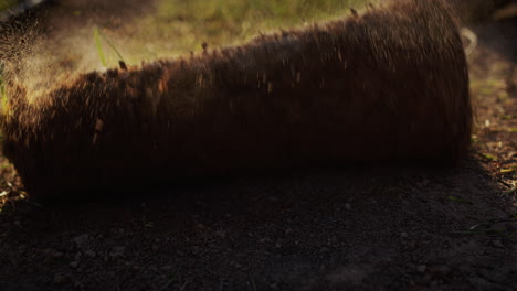 a roll of lawn grass is rolled out on the soil prepared for planting