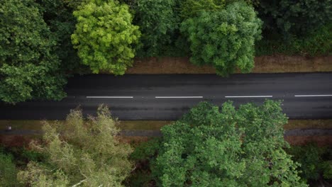 Close-up-top-down-drone-shot-of-an-empty-road-surrounded-by-forest-and-trees