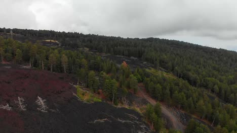 AERIAL-DOLLY-IN:-Drone-rising-over-a-valley-of-lava-rocks-surrounded-by-vibrant-green-forest,-in-Mount-Etna,-Sicily,-on-a-foggy-day,-with-the-top-of-the-crater-in-the-distance